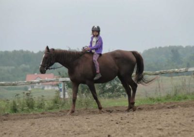 oboz-konie-2016-9-3-0026
