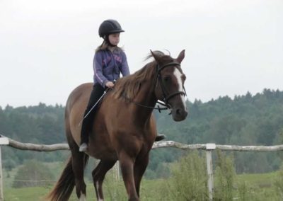 oboz-konie-2016-9-3-0041