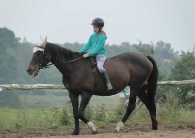 oboz-konie-2016-9-3-0045