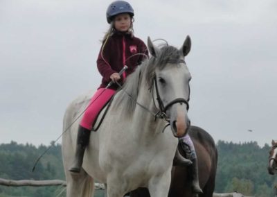 oboz-konie-2016-9-3-0094