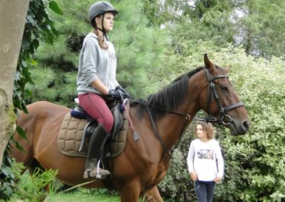 oboz-konie-2016-9-4-0032
