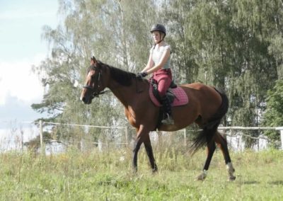 oboz-konie-2016-9-4-0049