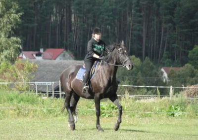 oboz-konie-2016-9-4-0071