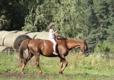 oboz-konie-2016-9-4-0148