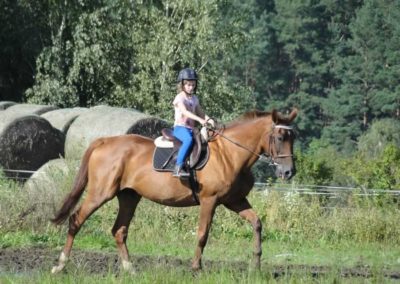 oboz-konie-2016-9-4-0150
