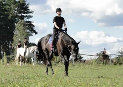 oboz-konie-2016-9-4-0178