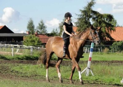 oboz-konie-2016-9-4-0201