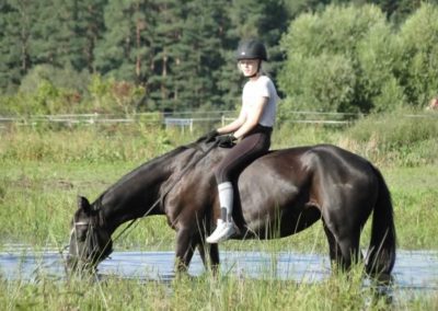 oboz-konie-2016-9-4-0209