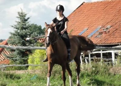 oboz-konie-2016-9-4-0221