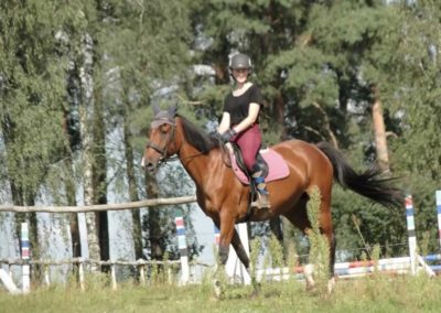 oboz-konie-2016-9-5-0002