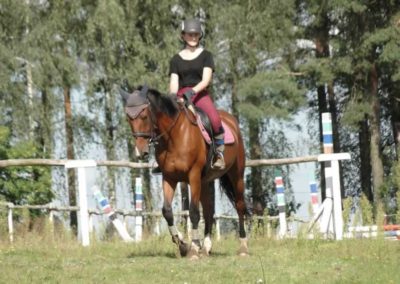 oboz-konie-2016-9-5-0003