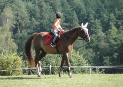 oboz-konie-2016-9-5-0008