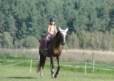 oboz-konie-2016-9-5-0019