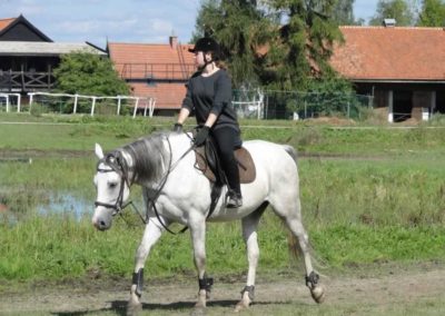 oboz-konie-2016-9-5-0028