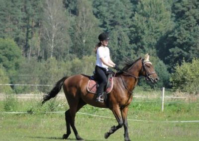 oboz-konie-2016-9-5-0029