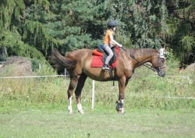 oboz-konie-2016-9-5-0042