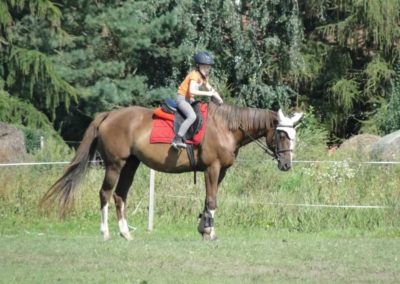 oboz-konie-2016-9-5-0045