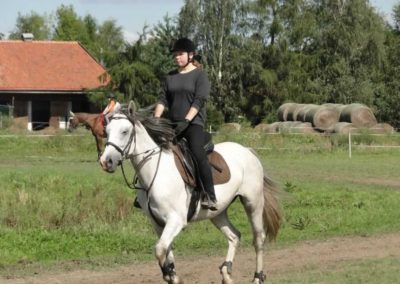 oboz-konie-2016-9-5-0049