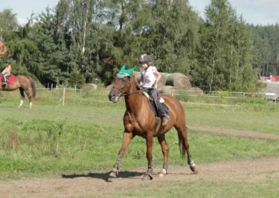 oboz-konie-2016-9-5-0050