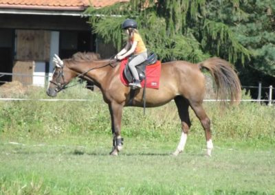 oboz-konie-2016-9-5-0053