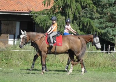 oboz-konie-2016-9-5-0054