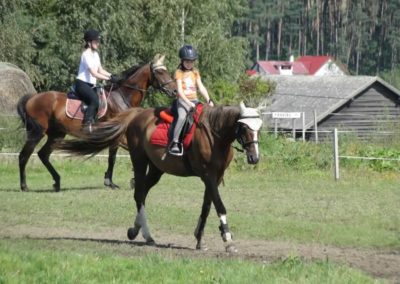 oboz-konie-2016-9-5-0066