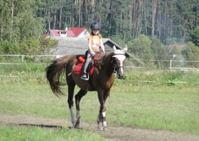 oboz-konie-2016-9-5-0067