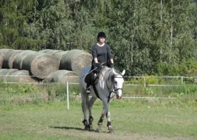oboz-konie-2016-9-5-0074