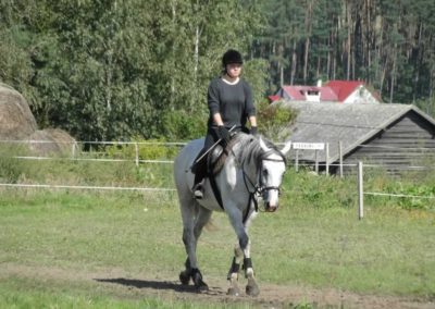oboz-konie-2016-9-5-0075