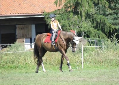 oboz-konie-2016-9-5-0081