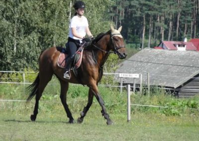 oboz-konie-2016-9-5-0098