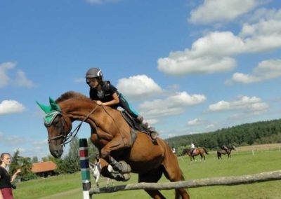 oboz-konie-2016-9-5-0170