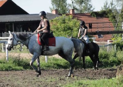 oboz-konie-2016-9-5-0257