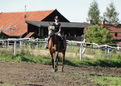 oboz-konie-2016-9-5-0270