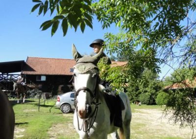 oboz-konie-2016-9-6-0013