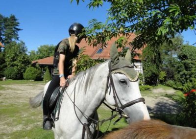 oboz-konie-2016-9-6-0015