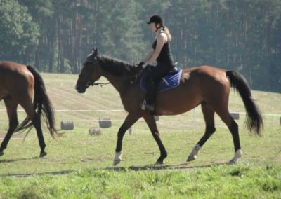 oboz-konie-2016-9-7-0004
