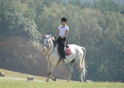 oboz-konie-2016-9-7-0012