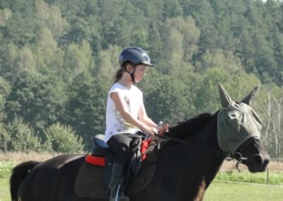 oboz-konie-2016-9-7-0020