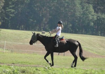 oboz-konie-2016-9-7-0032