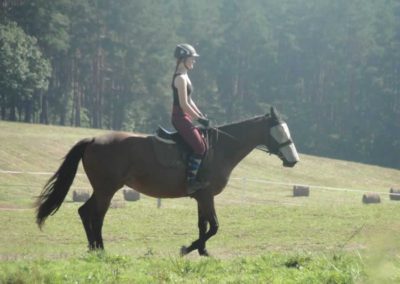 oboz-konie-2016-9-7-0034