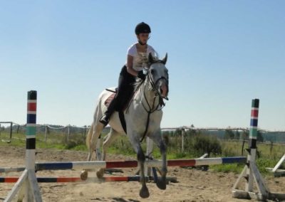 oboz-konie-2016-9-7-0053