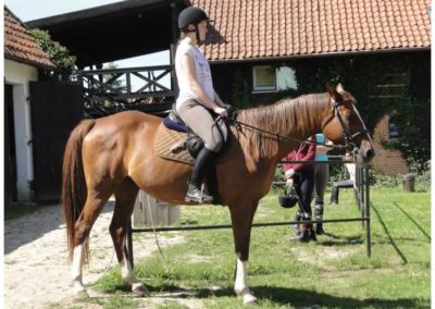 oboz-konie-2017-3-2-0011