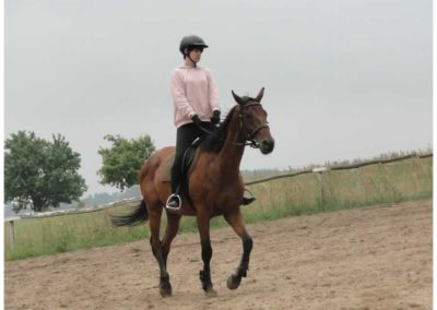 oboz-konie-2017-3-3-0054