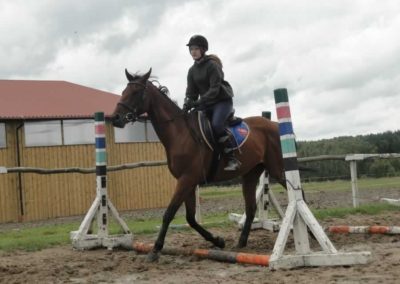 oboz-konie-2017-3-5-0082