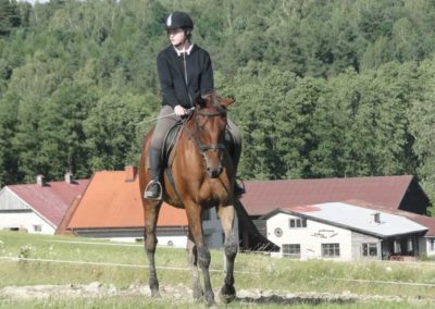 oboz-konie-2017-3-5-0191