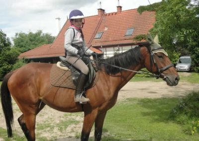 oboz-konie-2017-3-6-0018