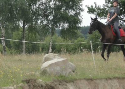 oboz-konie-2017-3-7-0019