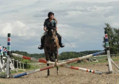 oboz-konie-2017-3-7-0121