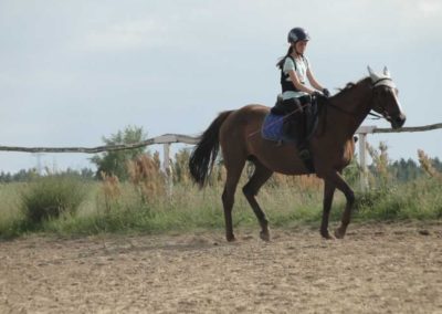 oboz-konie-2017-3-7-0146